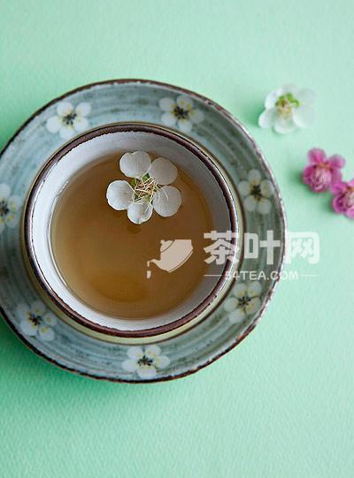 Tea Utilization and Dissemination – Tea.com