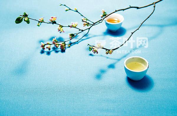 Tea literature prose expression flexible and beautiful language characteristics – Tea.com