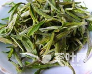 Legend of Cactus Tea – Tea.com