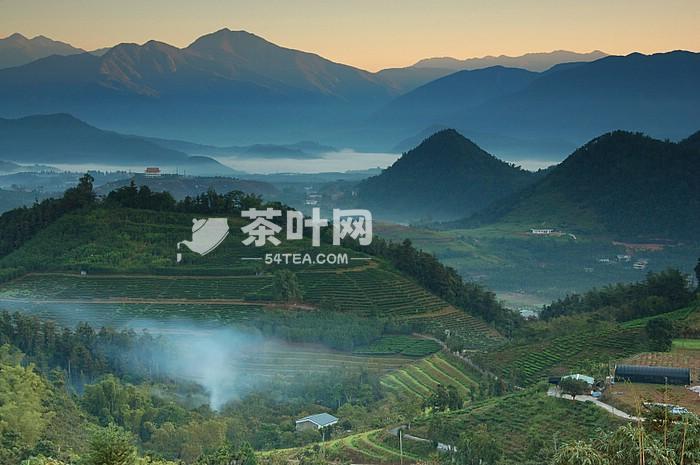 Tea production in the Qing Dynasty to improve and develop – Tea.com